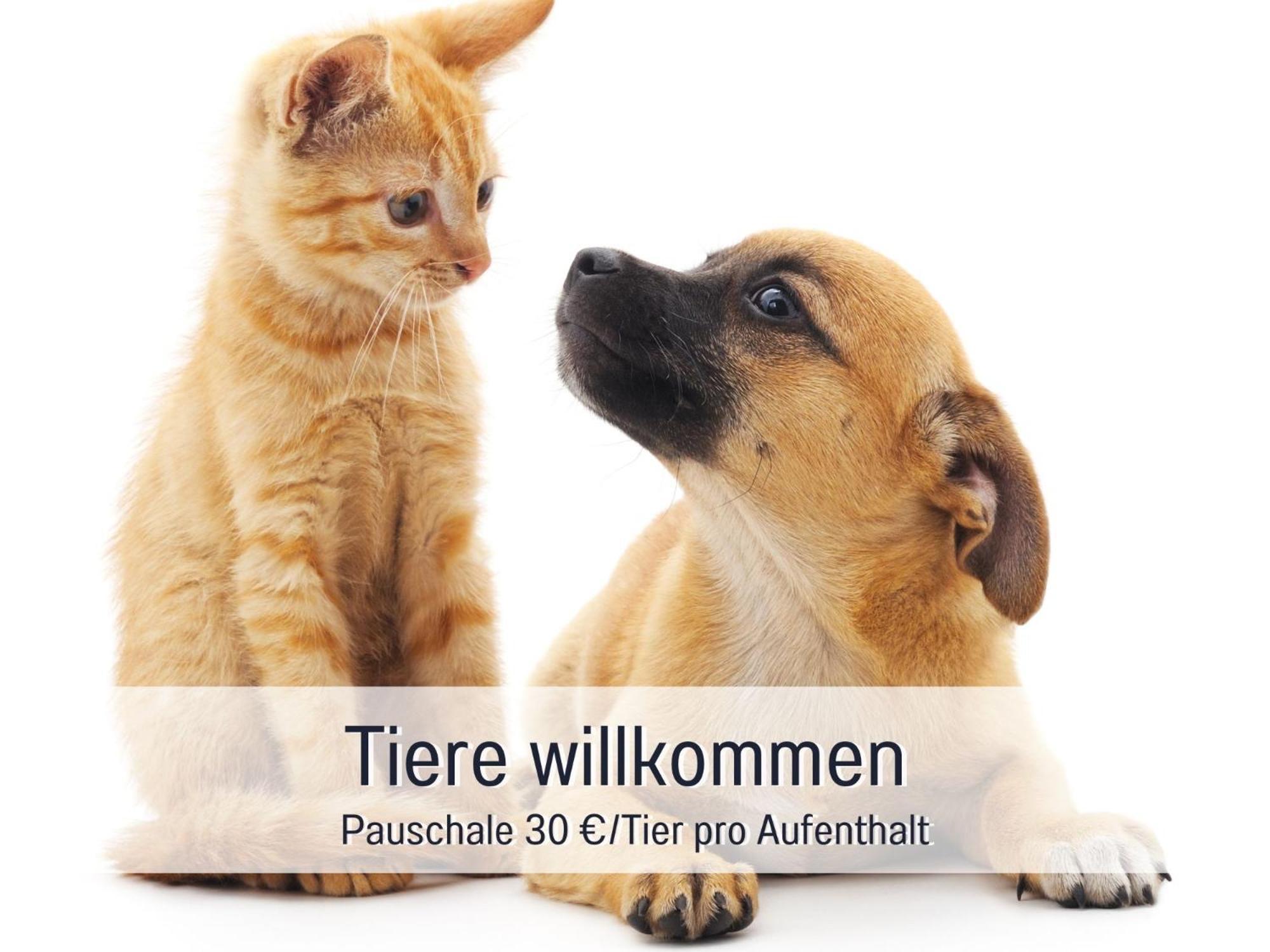 Rosmarin - Kuschelige Fewo - Romantik & Entspannung Im Whirlpool Auf Privater Terrasse, Ruhe & Hund Willkommen - By Ferienwohnenamsee - اوبرلنغن المظهر الخارجي الصورة